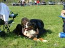 Tatransk� Lomnice