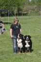 Tatransk� Lomnice
